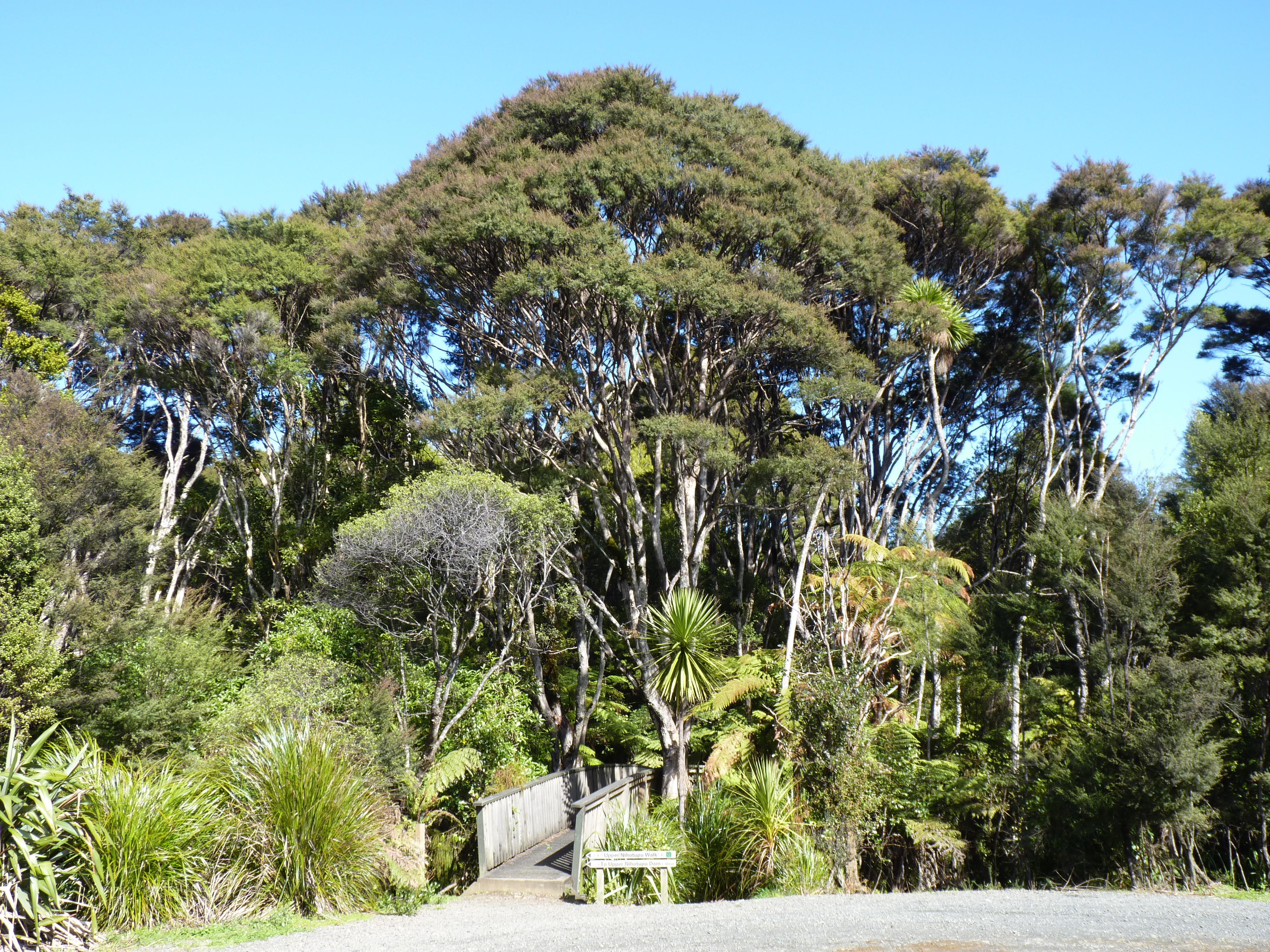 The 5 Best Overnight National Parks Near Auckland