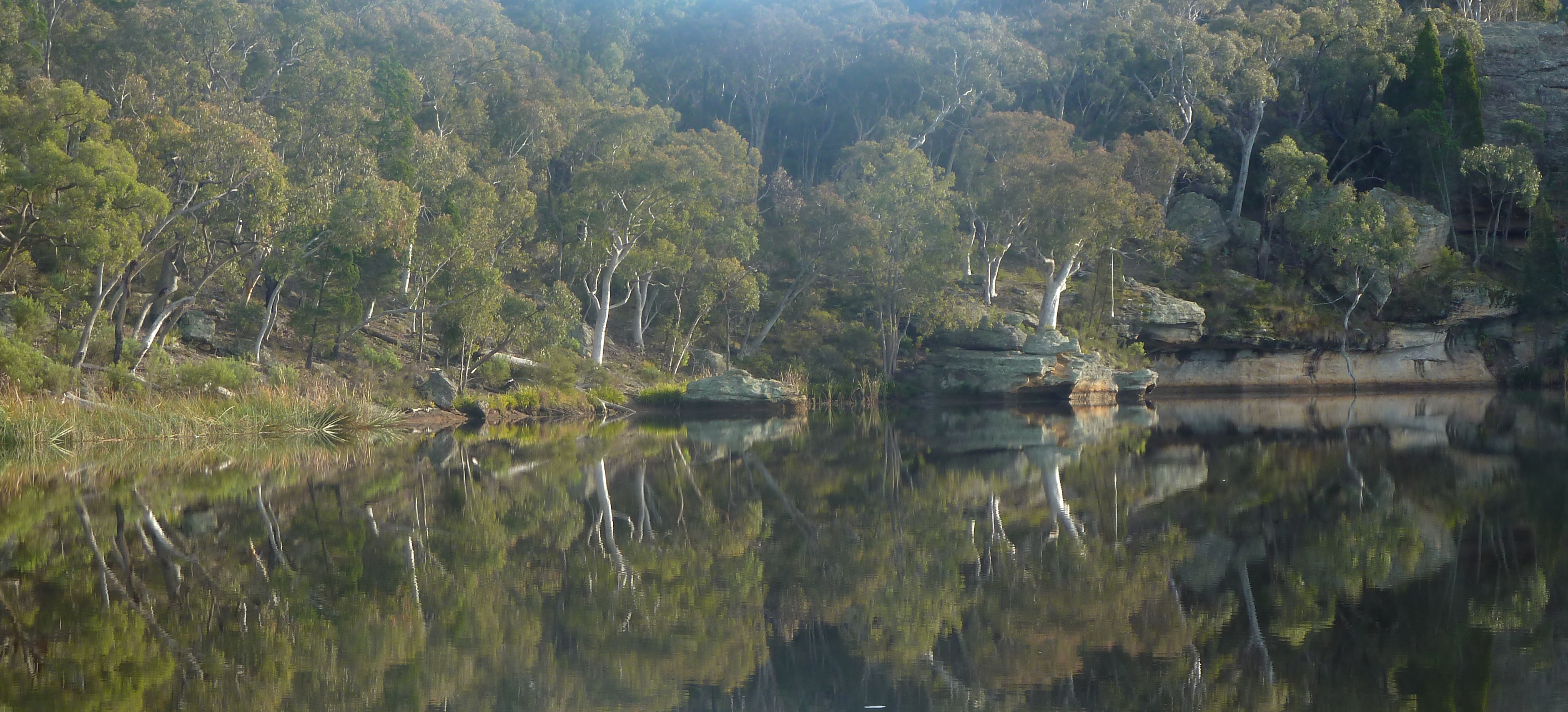 Dunns swamp