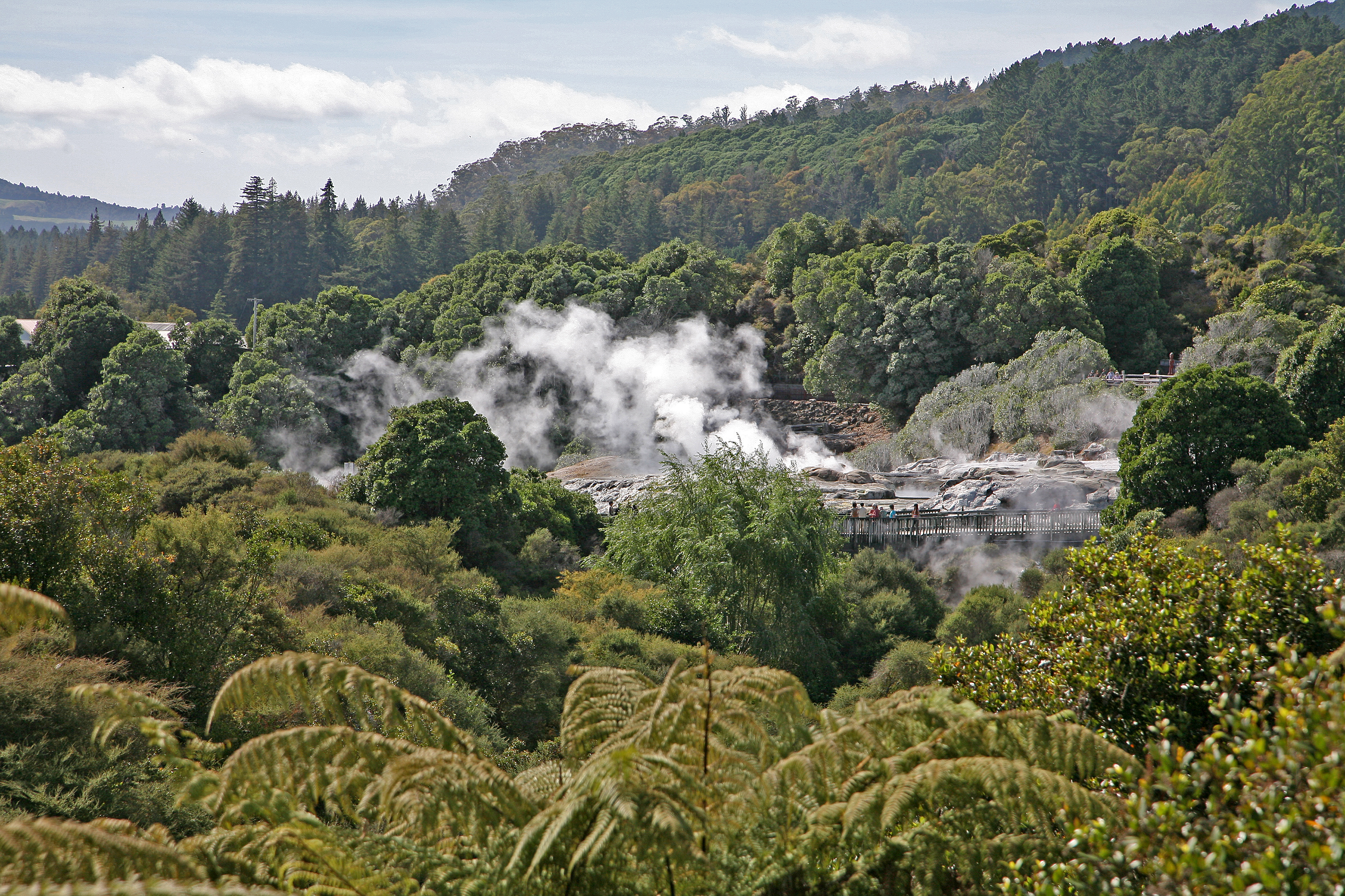 Hot Springs of Rotorua New Zealand