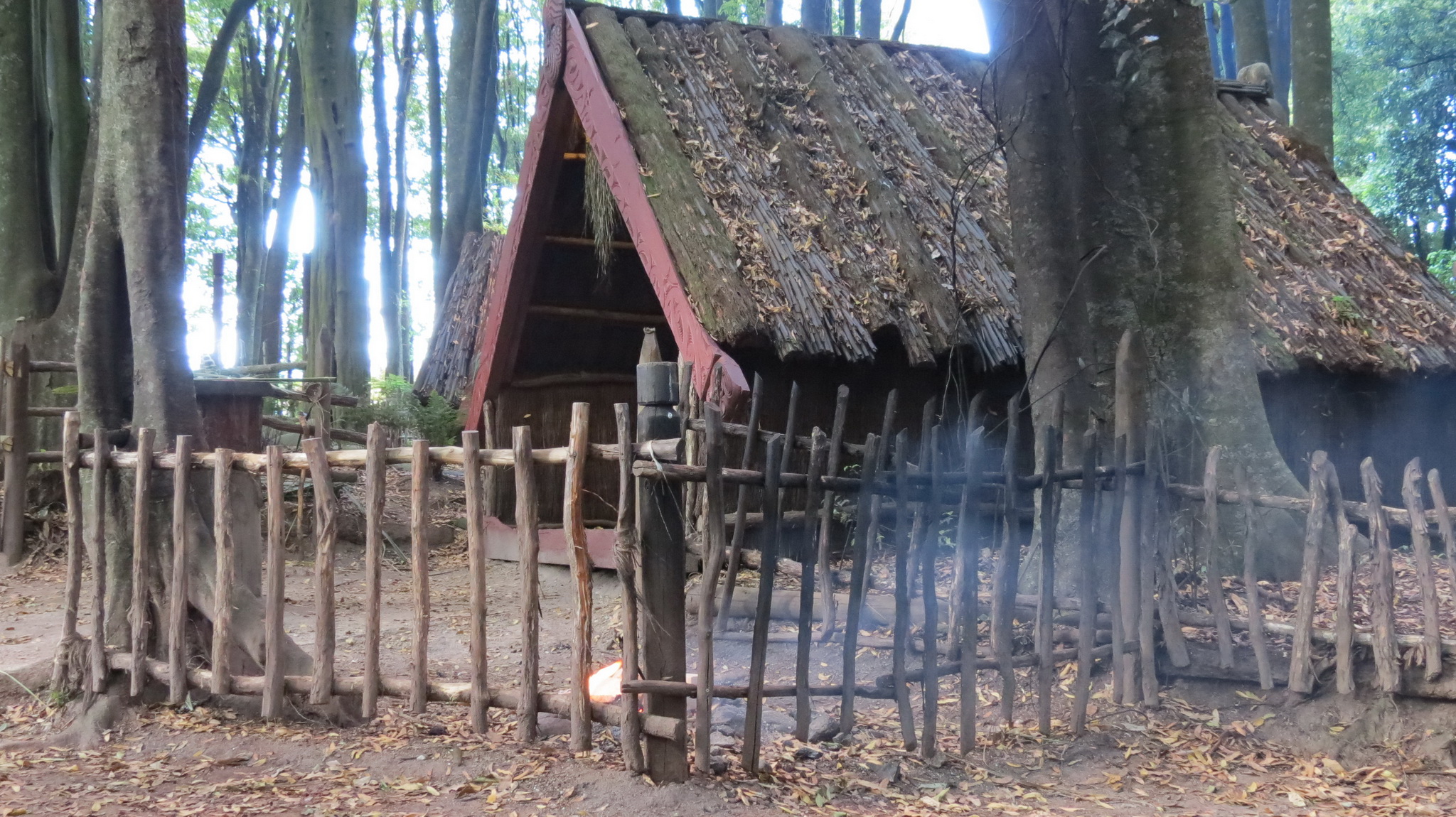 Tamaki Maori Village, New Zealand - a popular stop for campervan renters