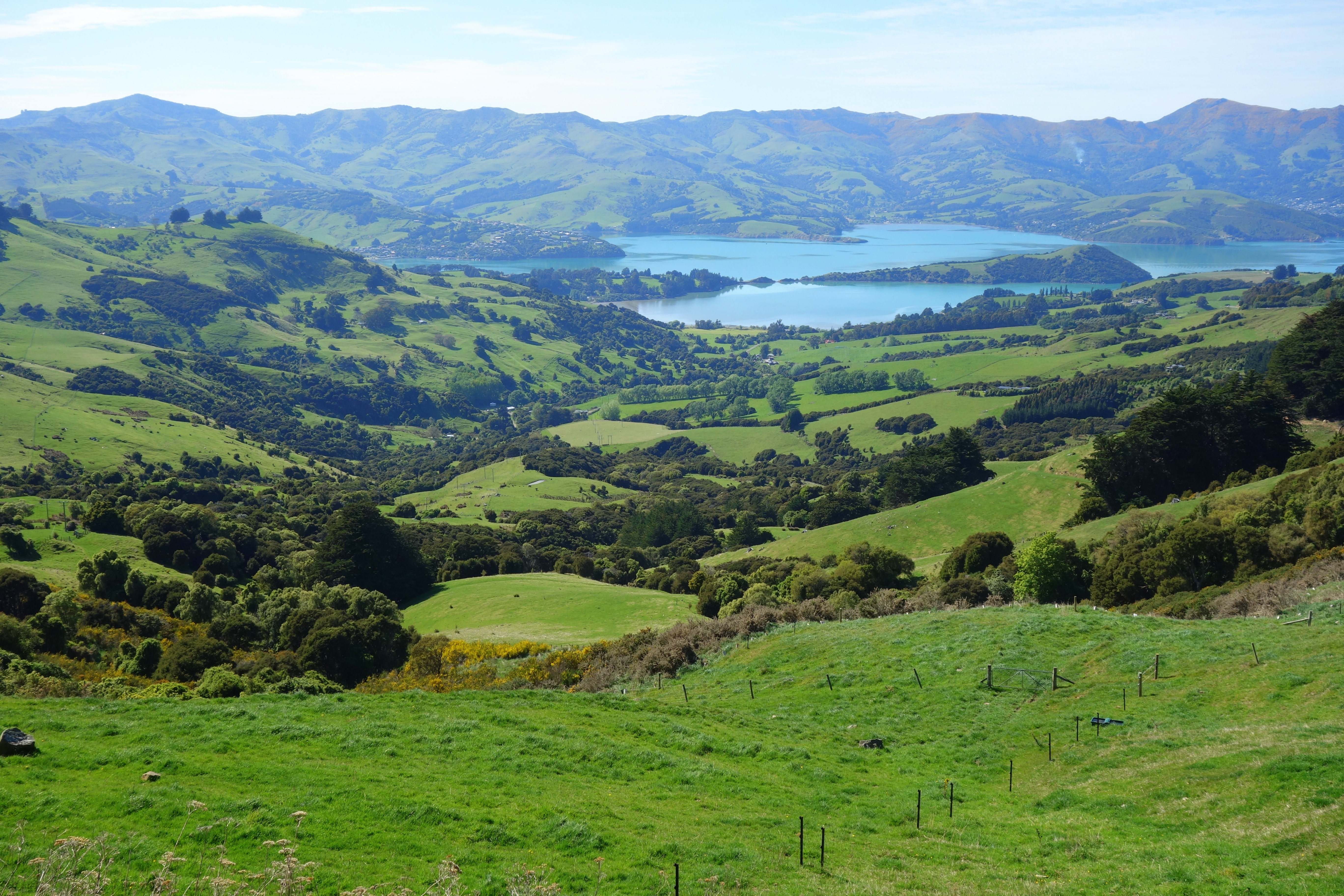 Akaroa 