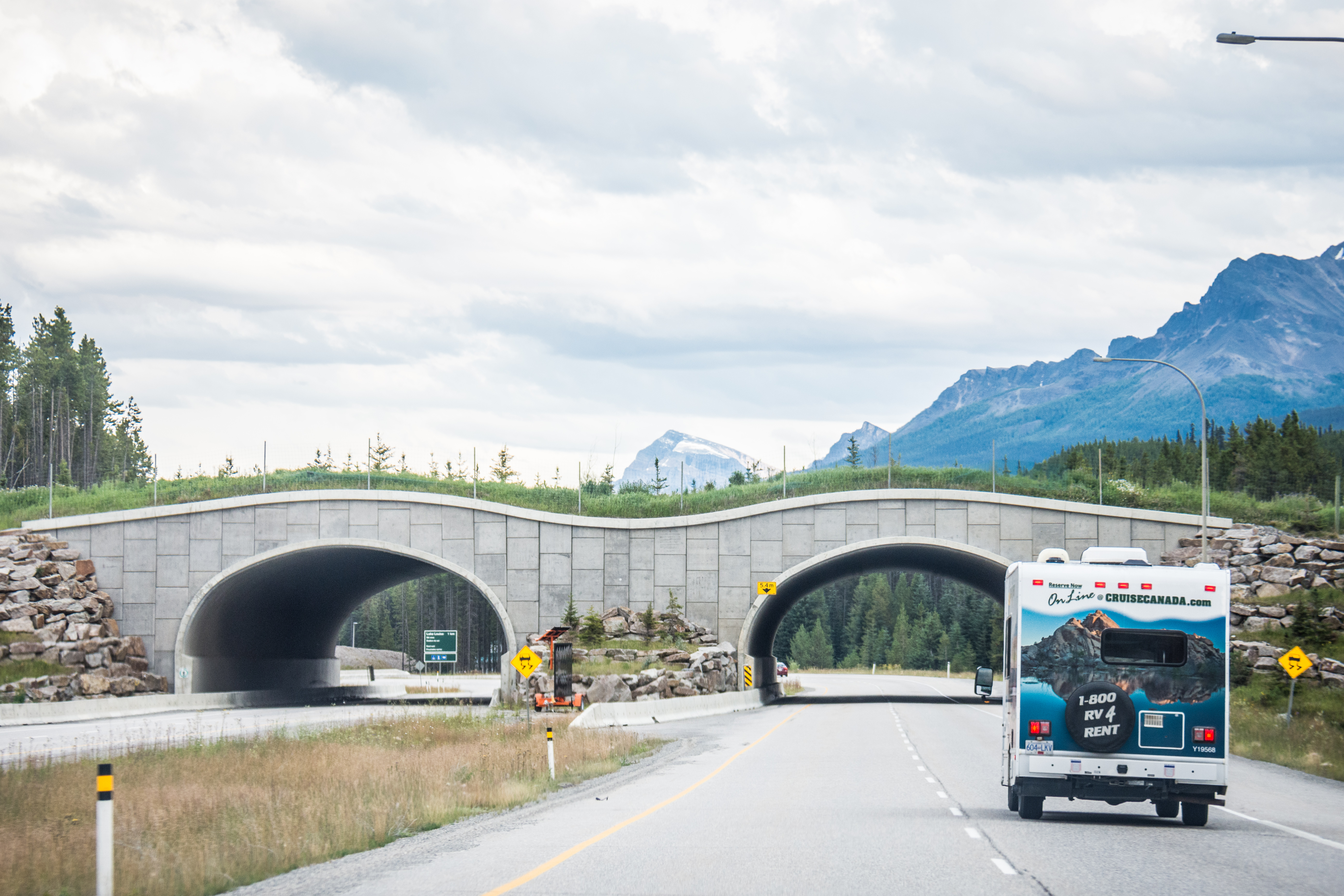 Jucy USA vs Escape Campervans USA: Compared Head to Head