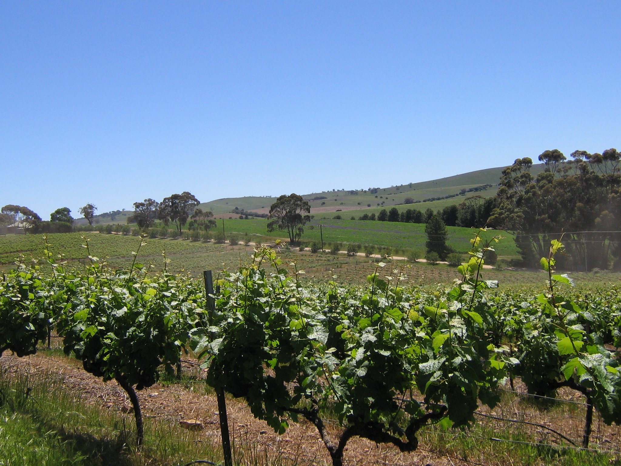 Clare Valley Motorhome Expeditions