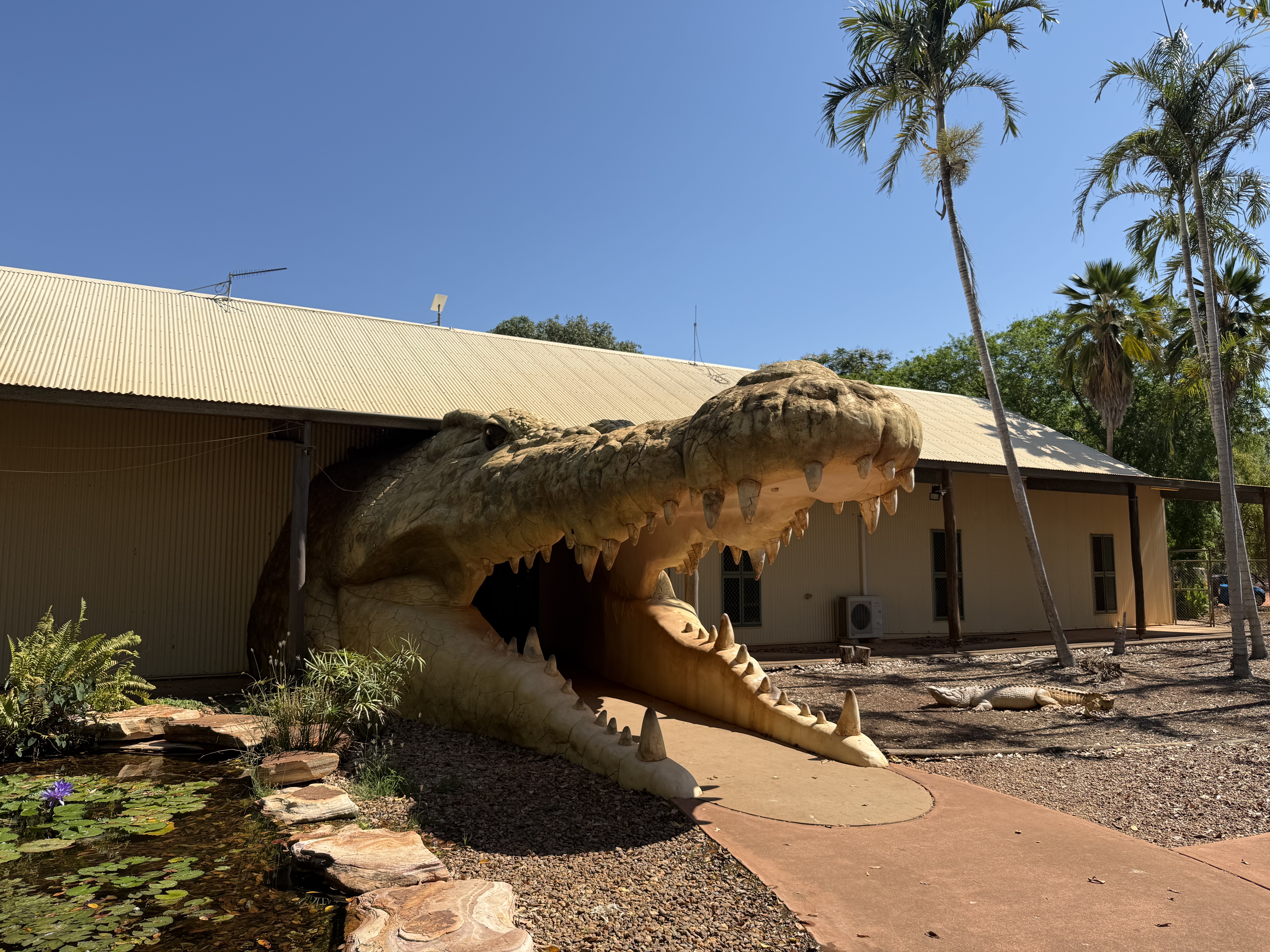 Crocodile Park