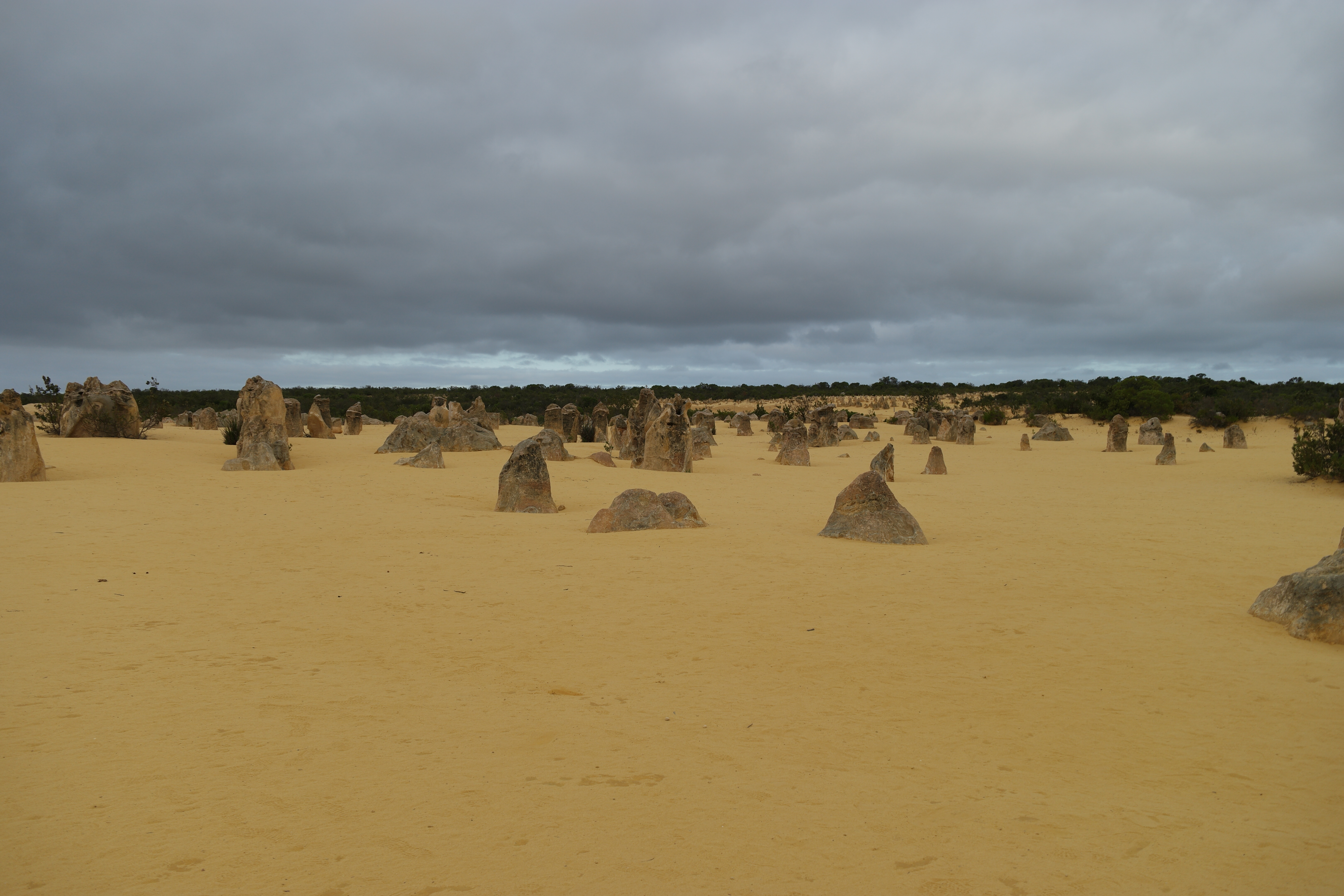 Pinnacles Desert