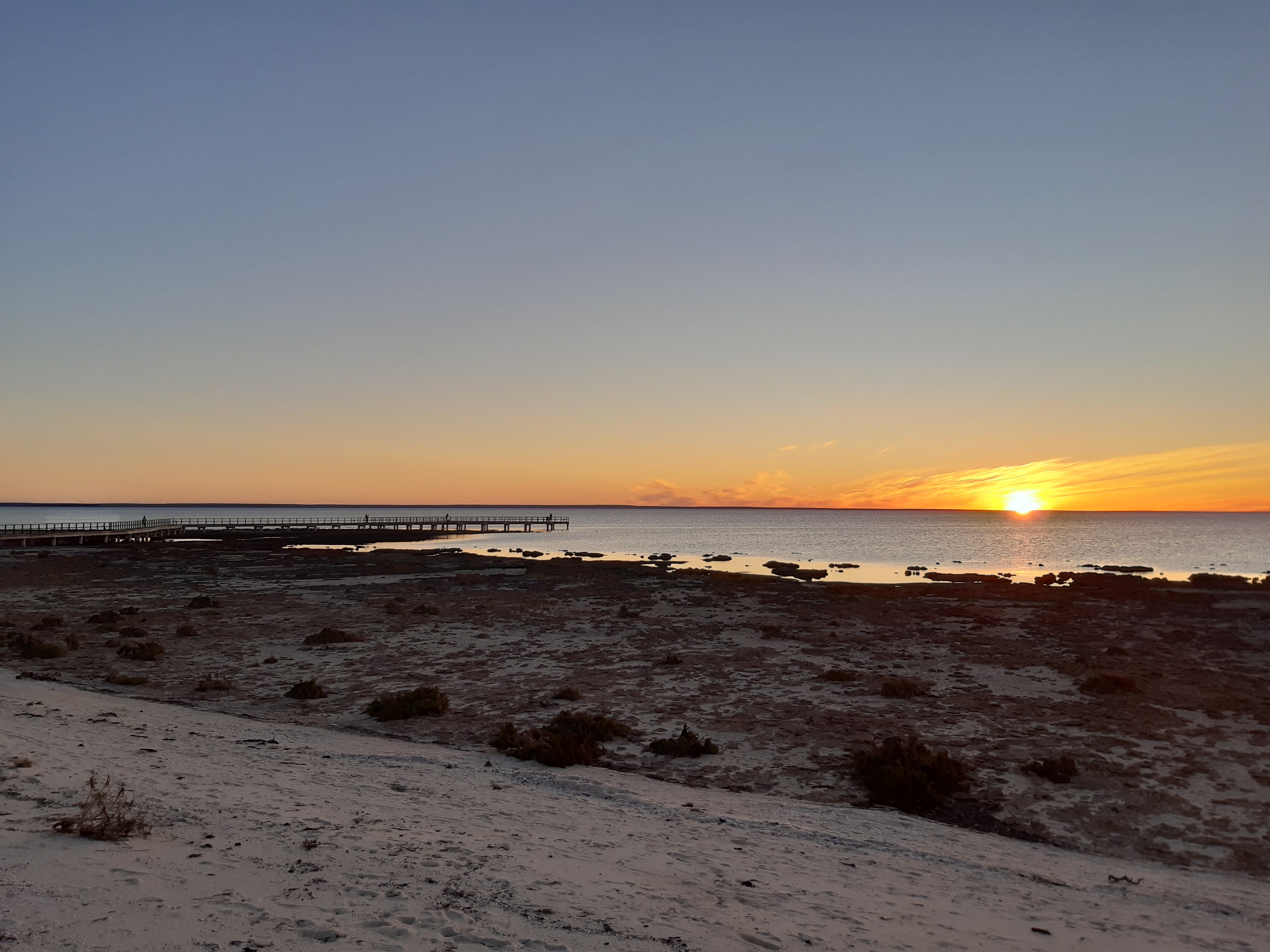 Shark Bay