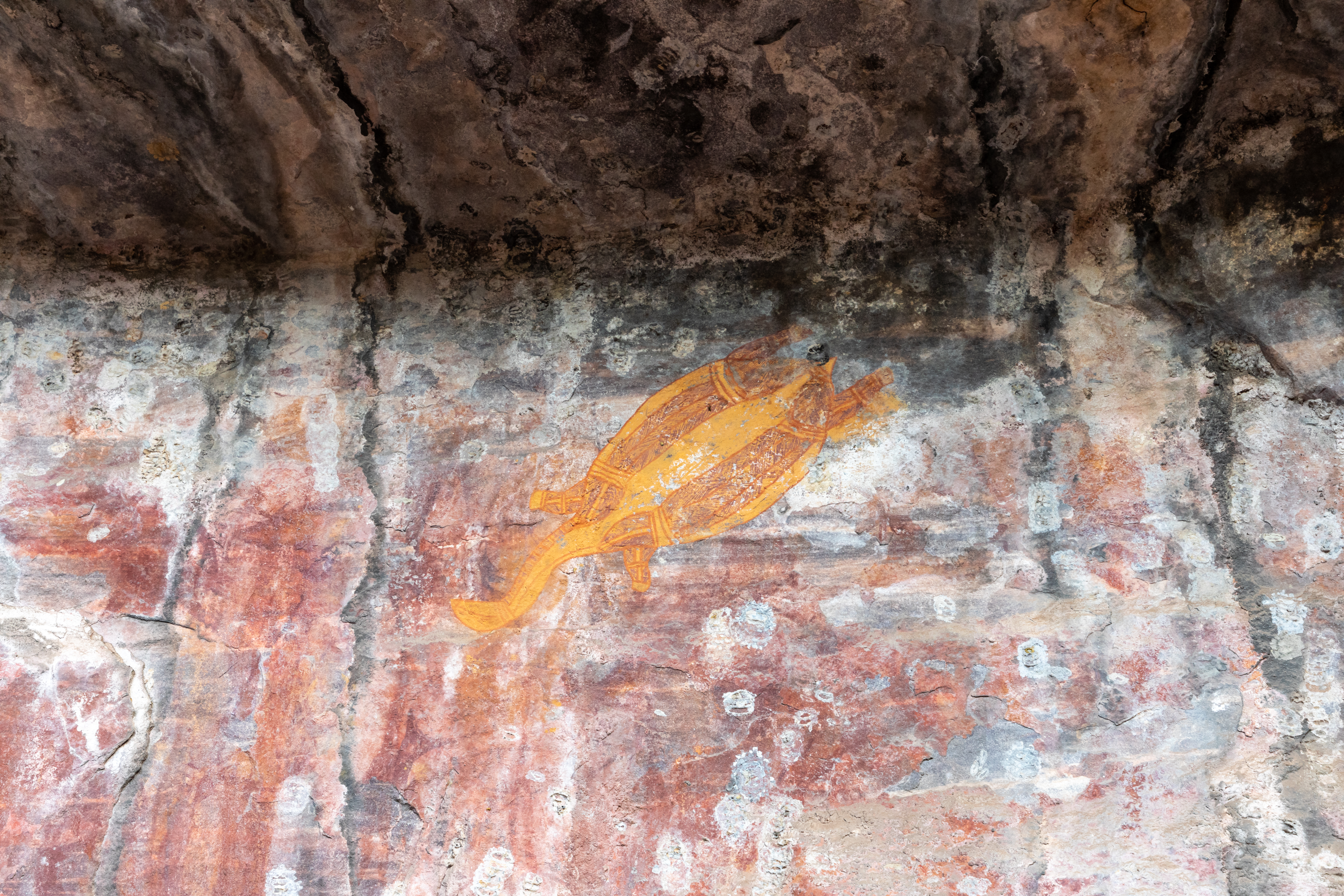 Check out 40,000 year old art work in Kakadu with your 4wd campervan hire