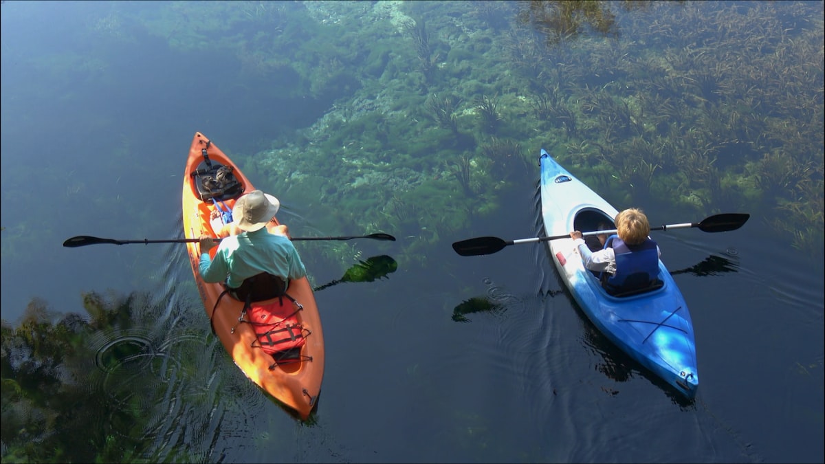 Hire a Kayak at the park