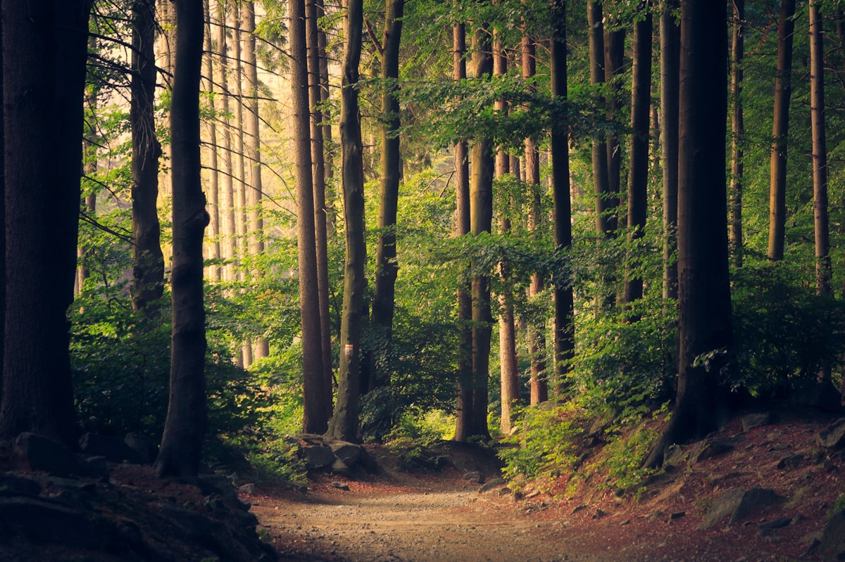 7 Beautiful Places To Park Your Campervan In NSW