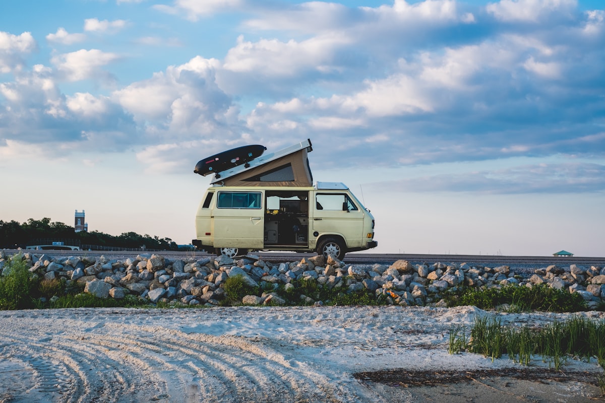 Check out the bats from the safety of inside the campervan