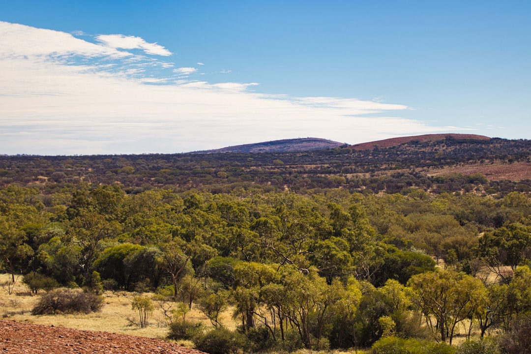 Campervan Hire Australian Mountain road