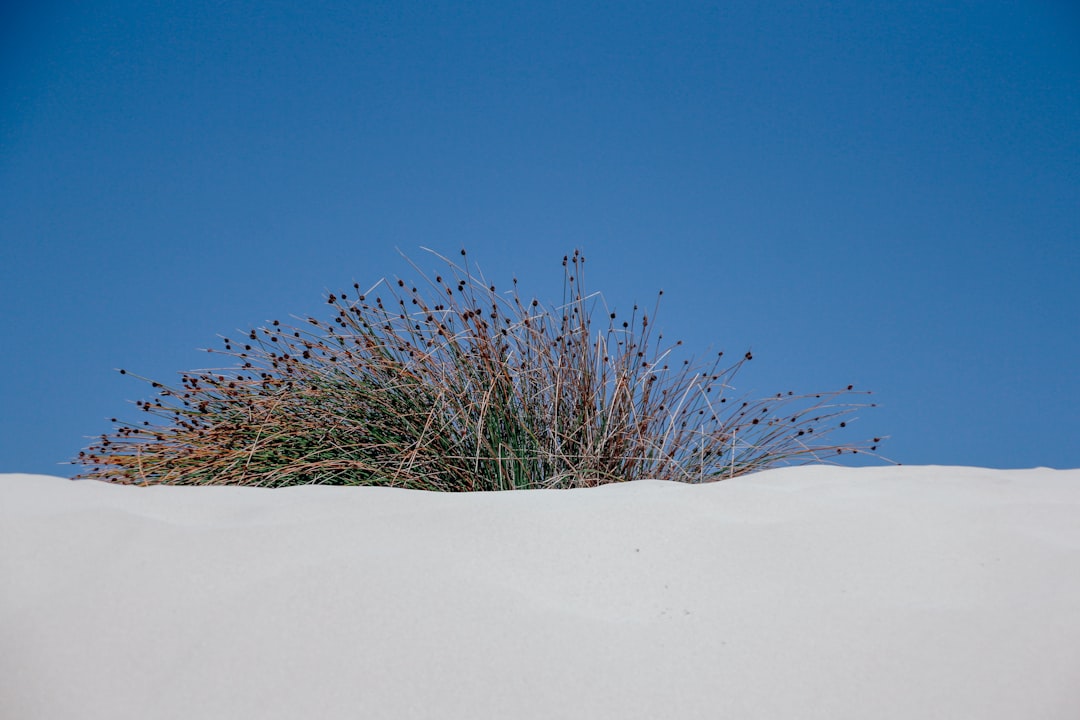 Scarborough Beach via Unsplash