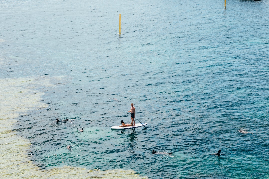 Via unsplash