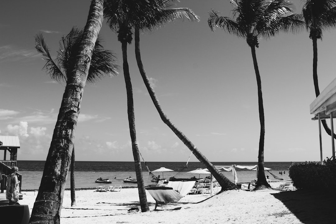 take you time with campervan hire Sydney